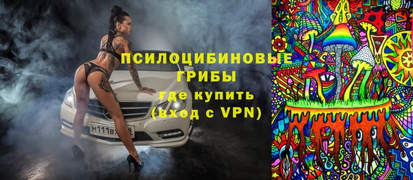 хмурый Инта