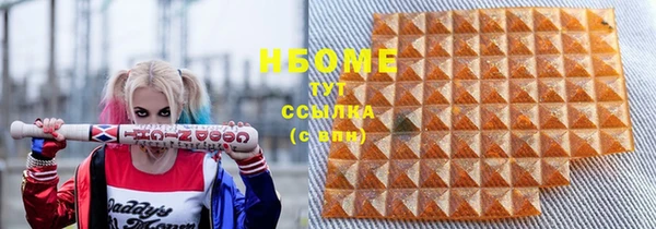хмурый Инта
