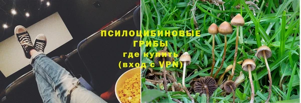 прущая мука Зеленокумск