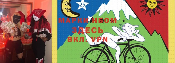 хмурый Инта