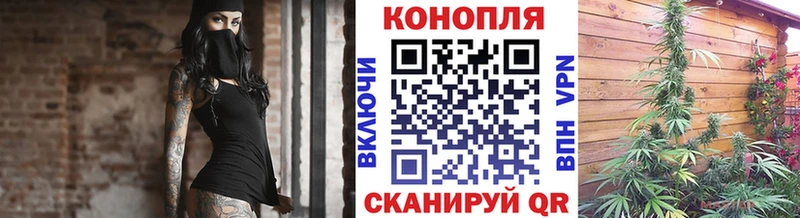 Купить закладки  Ленинск  Бошки марихуана планчик 